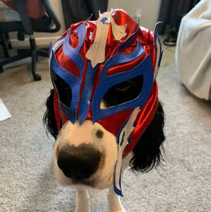 Meet your Posher, Angie